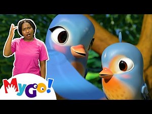 Five Little Birds | CoComelon Nursery Rhymes & Kids Songs | MyGo! Sign Language For Kids
