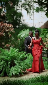 22 reactions | A real meet - cute with a forever ending....