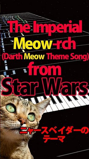 The Imperial Meow-rch🐱 Darth Meow theme song ニャースベイダー #imperialmarch #starwars #猫ミーム