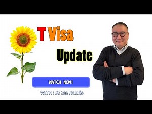 Don't Apply for a T Visa Before Watching This #tvisa #usimmigration
