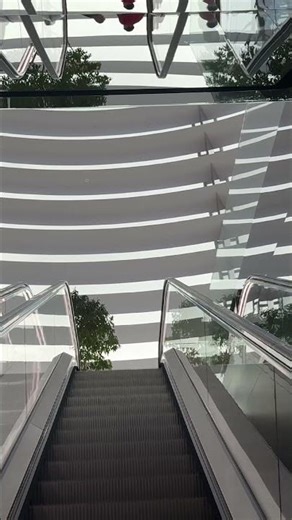 This Apple Store escalator is insane #Singapore #AppleStore