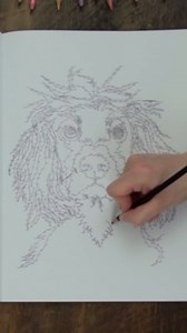 Great shape! Has a publisher remainder mark. paperback Used - Very Good 2023