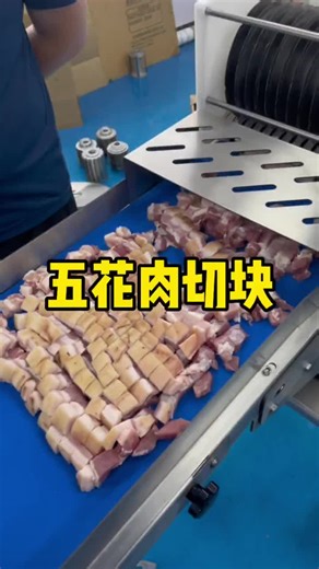 Meat cutting machine #meat #meatcutter #meatequipment #视频机械