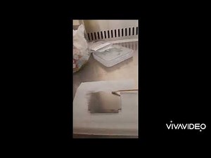 How does MALDI TOF Biotyper work? A detailed video guide.