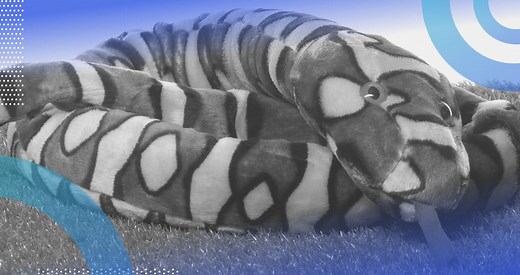 Fuzzy String Matching in Python: Intro to Fuzzywuzzy | Built In