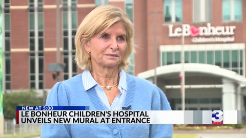 Le Bonheur Children's Hospital unveils new mural