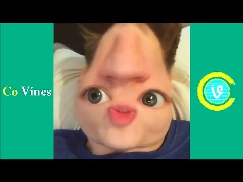 my favorite (clean) Vine COMPILATION | funny videos
