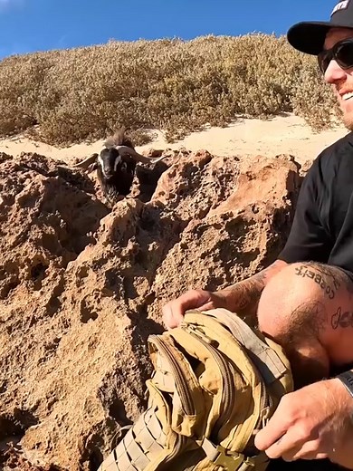 Survival in the desert island on TikTok