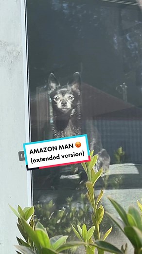 Amazon Man Extended Version Song