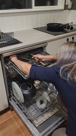 57K views · 613 reactions | SNAKE INSIDE THE WASHING MACHINE — WHAT THE HECK?! Thanks to Heather for the heads up! Who knew laundry day could get this wild? Stay safe and watch out for surprise visitors! 狀 #SnakeInWashingMachine #WildMoments #UnexpectedVisitors #ThanksHeather #CrazyStory #FYP #ViralVideo #StaySafe #HomeSurprises #WhatTheHeck | Wildlife With Stuart Mckenzie | Facebook