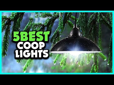 Top 5 Best Solar Chicken Coop Lights Review 2022