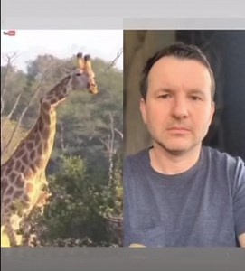 Giraffe’s neck 😢 | Markulland