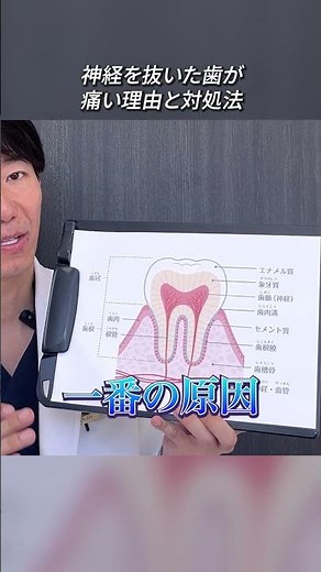 【神経を抜いた歯が痛い！？】"もう神経ないのに…" その痛みの原因を現役歯科医が解説！
