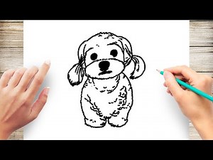 How to Draw A Realistic Poodle