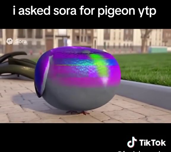 Sora AI Pigeon Videos Compilation