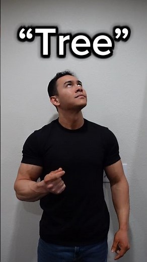 Learn ASL “Tree” #americansignlanguage #asl #deaf #hardofhearing #education #english #learn #tree