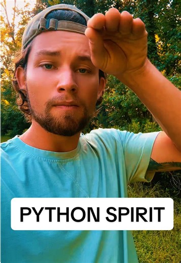 Understanding the Spirit of Python in Faith