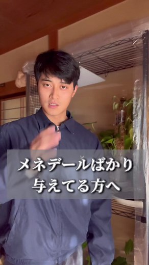 メネデールを使った植物育成法
