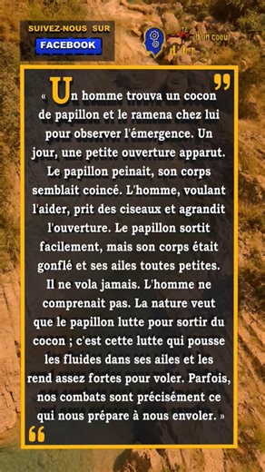 La leçon du papillon : pourquoi les épreuves sont nécessaires pour réussir dans la vie