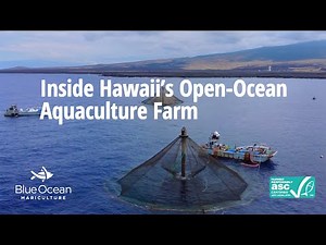 Inside Hawaii’s Open-Ocean Aquaculture Farm | ASC-Certified Sustainable Seafood