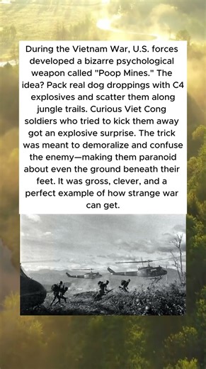 EXPLODING DOG POOP IN THE VIETNAM WAR 💥