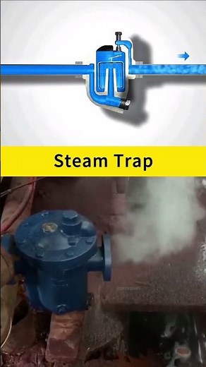 How does a steam trap works ?