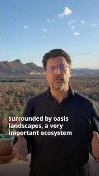 Morocco🇲🇦 Oasis landscapes underpin rural jobs, national value chains, and food and water security