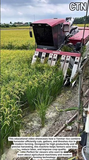Yanmar Rice Combine Harvester – Smart Farming Technology in Action
