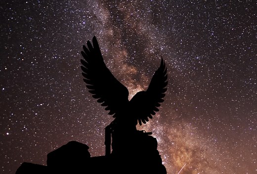 The Thunderbird: Could this Native American Myth be Real? - Historic Mysteries