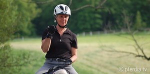 Der Reitersitz: Ultimativer Guide zum besseren Sitzen & Einwirken!