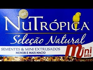 Mini bits da Nutrópica: qual a diferença da tradicional e quando oferecer à ave?