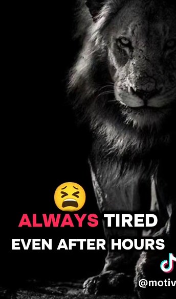 Powerful Motivational Speech to Inspire You Today