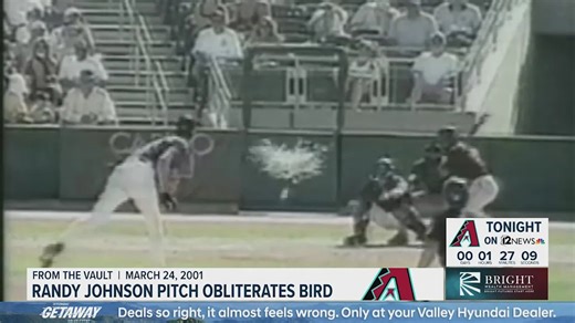 Remember the time Randy Johnson's pitch hit a bird?