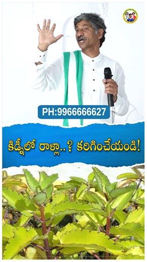 1.7M views · 18K reactions | Dr.Ramachandra | #health #nature #teluguhealthtips #naturopathie #food #healthy #healthyfood #shorts | Dr.Ramachandra Naturopathy | Facebook