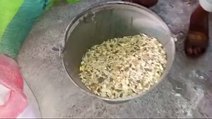 Inside the Fascinating Process of PVC Pipe Production