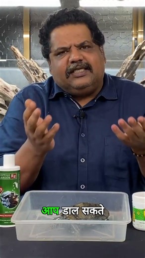 Calcium Powder vs. Fish Bone: Which is Better For Your Turtle?