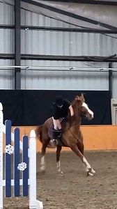 I forgot about the last jump and tried to turn him way too fast and he slipped. The mistake was 100% my fault but he was completely okay and didn’t hurt anything! Caption and video @that_little_paint Make sure to follow us @horsesvideosfails for more fails No hate tolerated!! #horselovers #horsefails #horsefail #horseridingfail #horseridingfails #horses #horseofinstagram #jumping #horsejumping | HorseLovers Fails