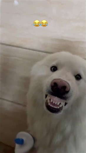 Angry Pluto 😂😂