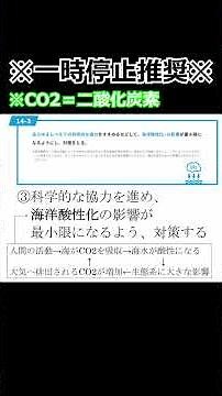 【SDGs解説】目標14「海の豊かさを守ろう」