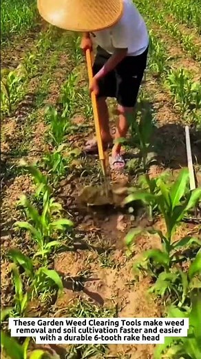 Garden Weed Clearing Tools with 6-Tooth Rake Head for Fast Soil Loosening and Weed Removal
