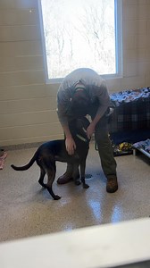 44K views · 115 reactions | Humane Society for Hamilton County (Indiana) on Reels | Facebook