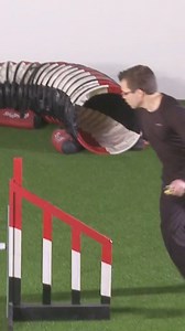 When do you use a Front Cross vs a Blind Cross in agility? Do you know what these two common handling techniques cue for your dog? Learn agility from the dog’s perspective with OneMind Dogs! #oneminddogs #dogtrainingtip #dogagility #agilitydog | OneMind Dogs