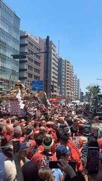 【浅草を染め上げる！鮮やかな赤半纏、寿四！】令和８年（2026）三社祭（浅草神社例大祭）本社二之宮神輿各町渡御〔寿四町会と渡御道中〕 #祭り #三社祭 #神輿 #東京 #台東区 #浅草