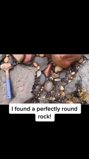 Cracking open beautiful ammonite fossils! #fyp #foryoupage #foryou | Dig & Discover