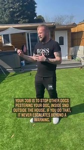 304K views · 3.6K reactions | Stop Telling Dogs Off For Growling #dogs | Southend Dog Training | Facebook
