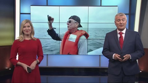 Depoe Bay whale tours offer rare, close-up views of gray whales feeding near shore