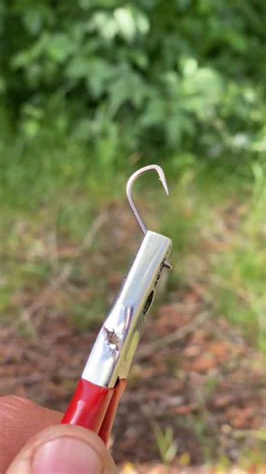 How to build a strong carp rig for big carp