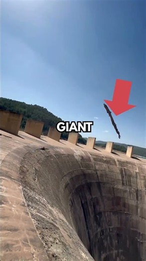Why is there a giant hole in this dam? 🌊 #didyouknow #interestingfacts #facts #dam #spillway