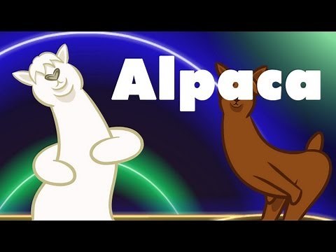 Alpaca : animated music video : MrWeebl