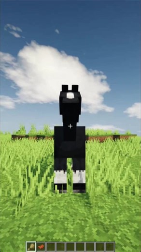 Comment monter un cheval sur Minecraft